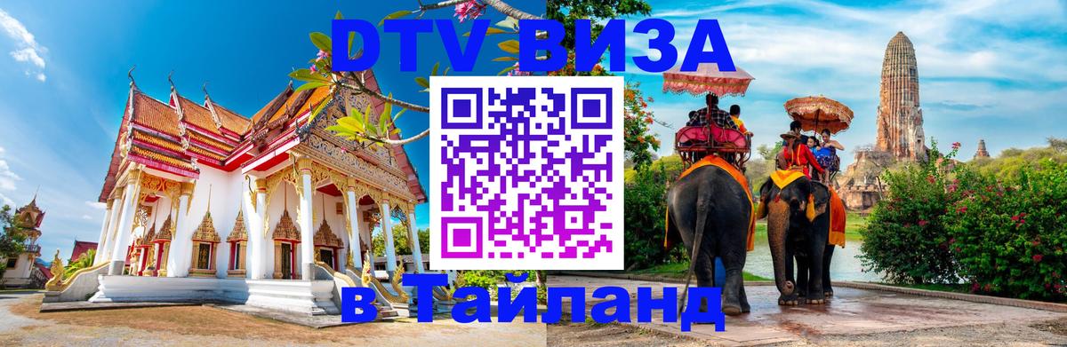 Сколько стоит DTV виза — актуальные цены, оформление даже без документов - Благовещенск 